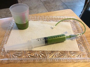 Bolus Feeding Syringe
